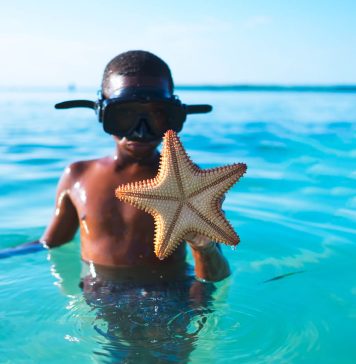 A Gay Gymnast’s Struggle To Come Out To His College Coach