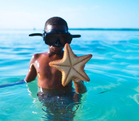 A Gay Gymnast’s Struggle To Come Out To His College Coach